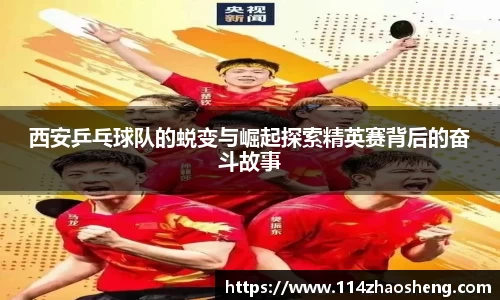 BOB半岛官方网站