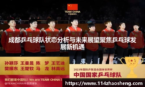 成都乒乓球队状态分析与未来展望聚焦乒乓球发展新机遇