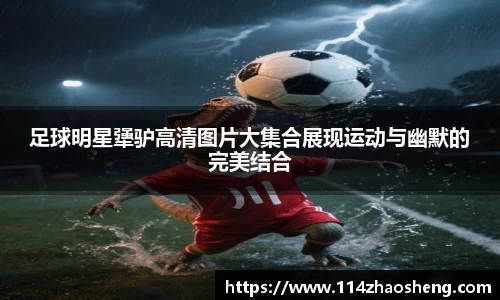 足球明星犟驴高清图片大集合展现运动与幽默的完美结合